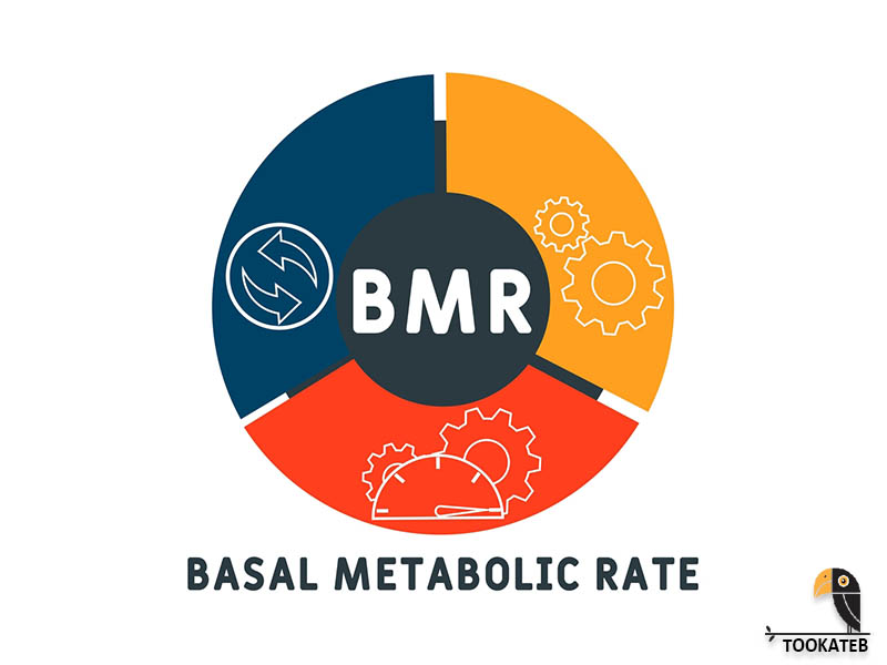 BMR چیست