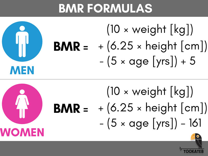 محاسبه BMR